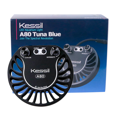 Kessil A80 Tuna Blue 1