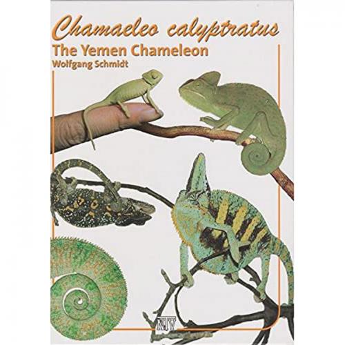 Chamaeleo Calyptratus, The Yemen Chameleon 1